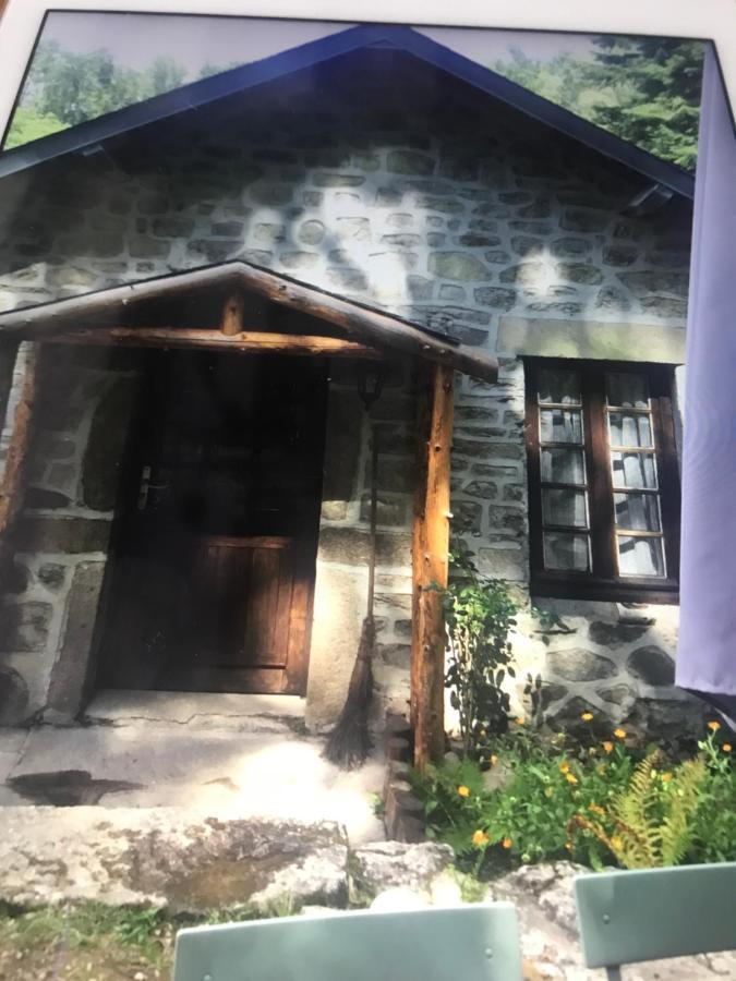Woodland Cottage Faux-la-Montagne Екстериор снимка